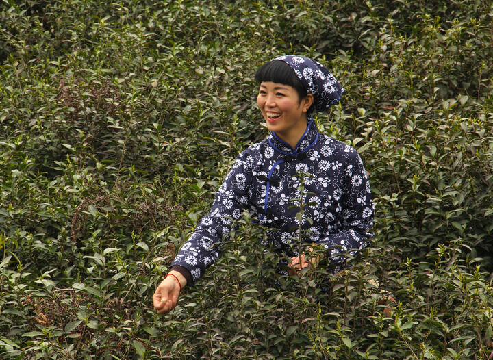伊人成视人免费直播 热门12